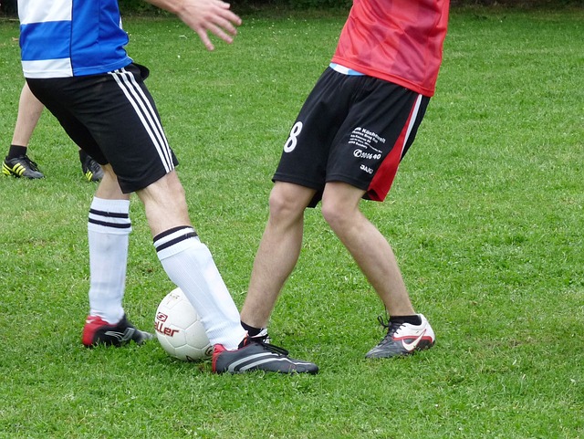 了他们的视 了他们的视