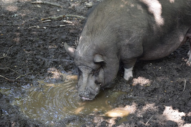 他们希望迅 他们希望迅