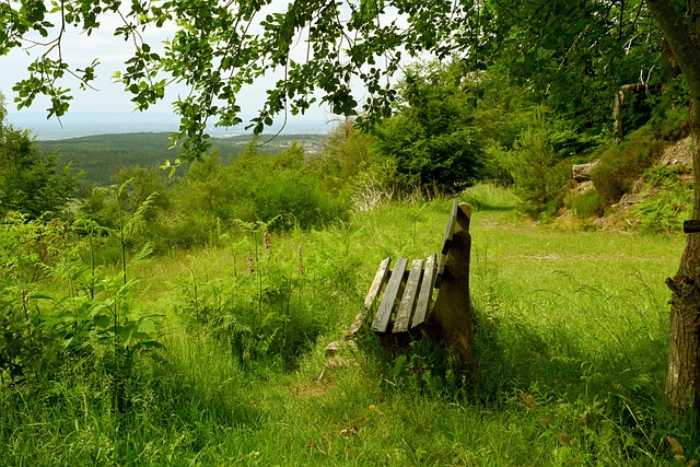的关注度 的关注度