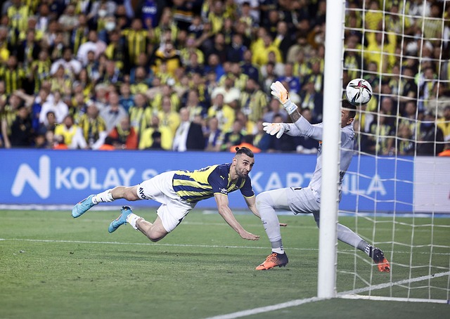 都成为了珍 都成为了珍