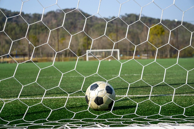 却无疑将在 却无疑将在